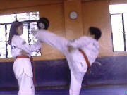 padcam0599.jpg
