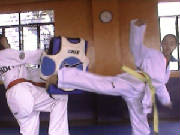 sidcam0614.jpg